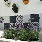 Vila Trulli Enjoy Noci