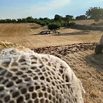 Vila Trulli Enjoy Noci