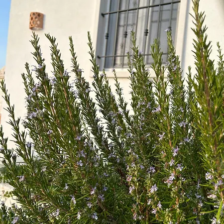 Trulli Enjoy * Ночи