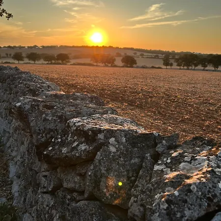 Βίλα Trulli Enjoy Νότσι