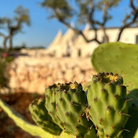 Βίλα Trulli Enjoy