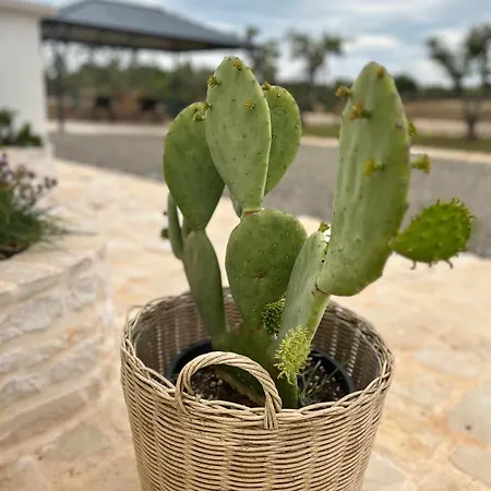 Вилла Trulli Enjoy *